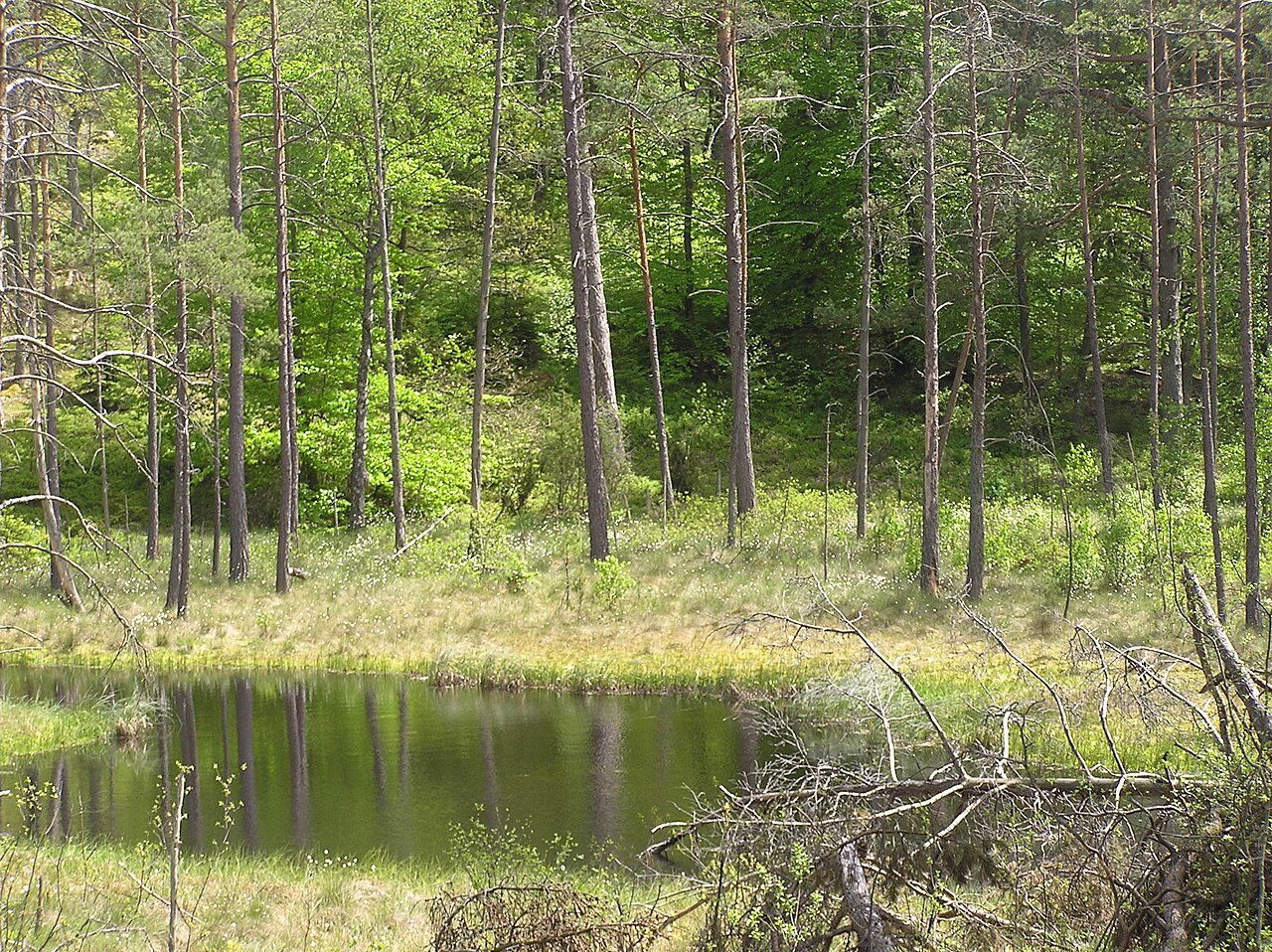 Krajobraz Kaszubskiego Parku Krajobrazowego